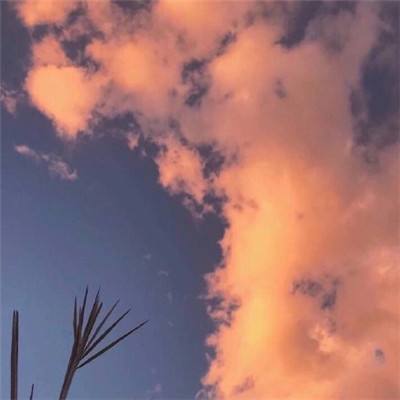 游戏王联盟手游下载